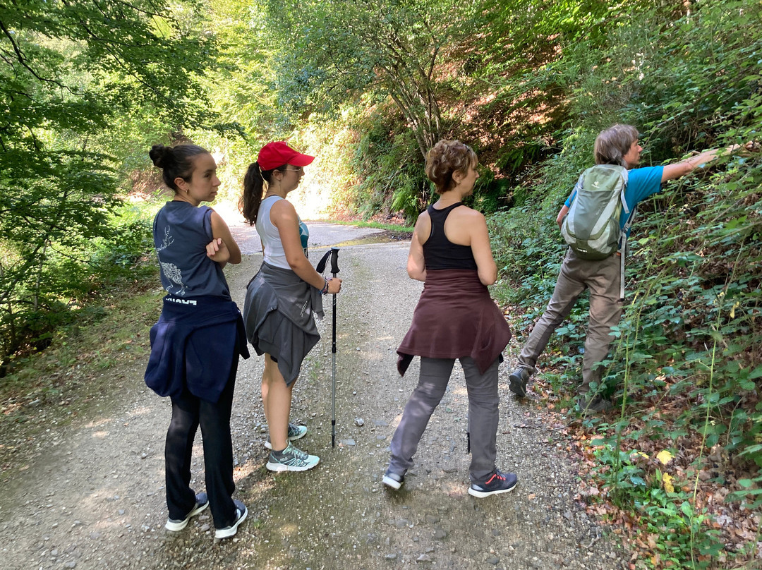 Itarinatura-Orbaizeta必去景点