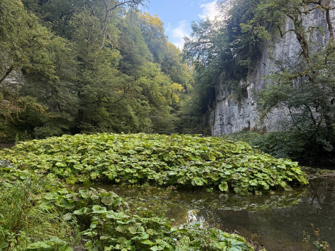 Chee Dale-峰区国家公园必去景点