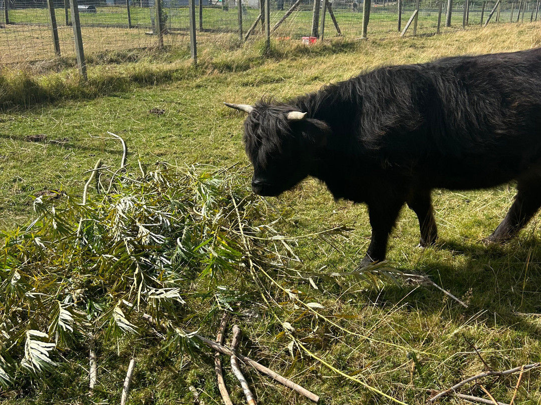 Wynford Farm Playbarn-Kingswells必去景点