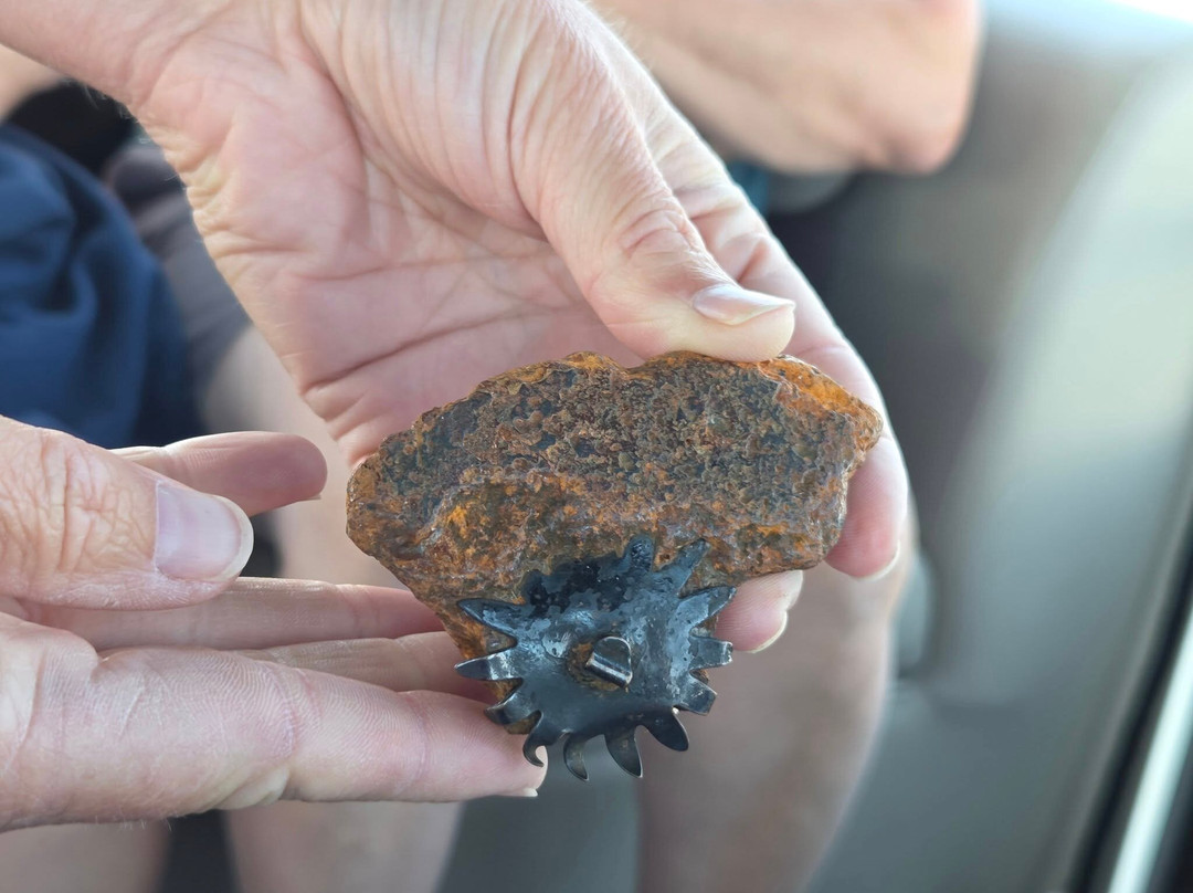 Salty Dog Sea Tours-Oak Island必去景点