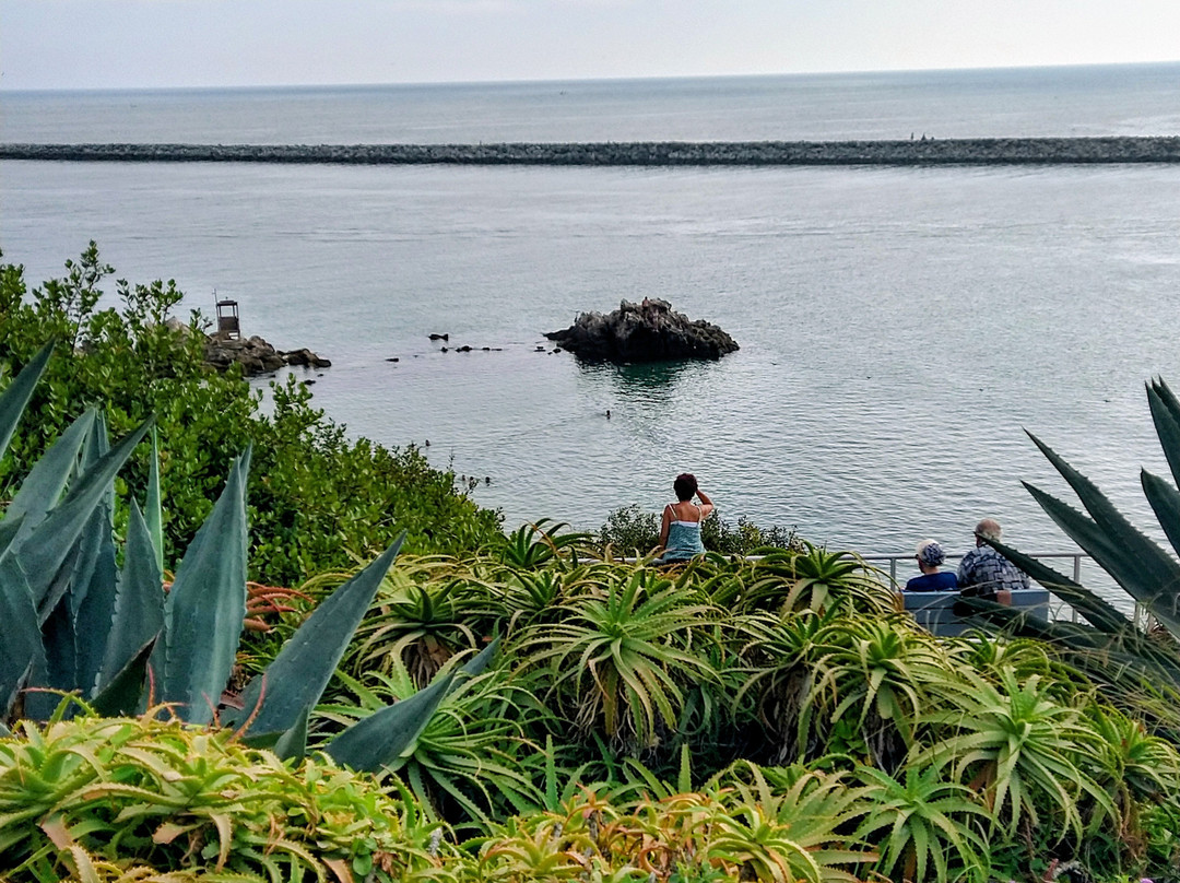 Lookout Point-科罗纳戴尔马尔必去景点