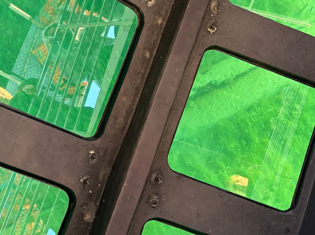 Nautical North Family Adventures-Cheboygan必去景点