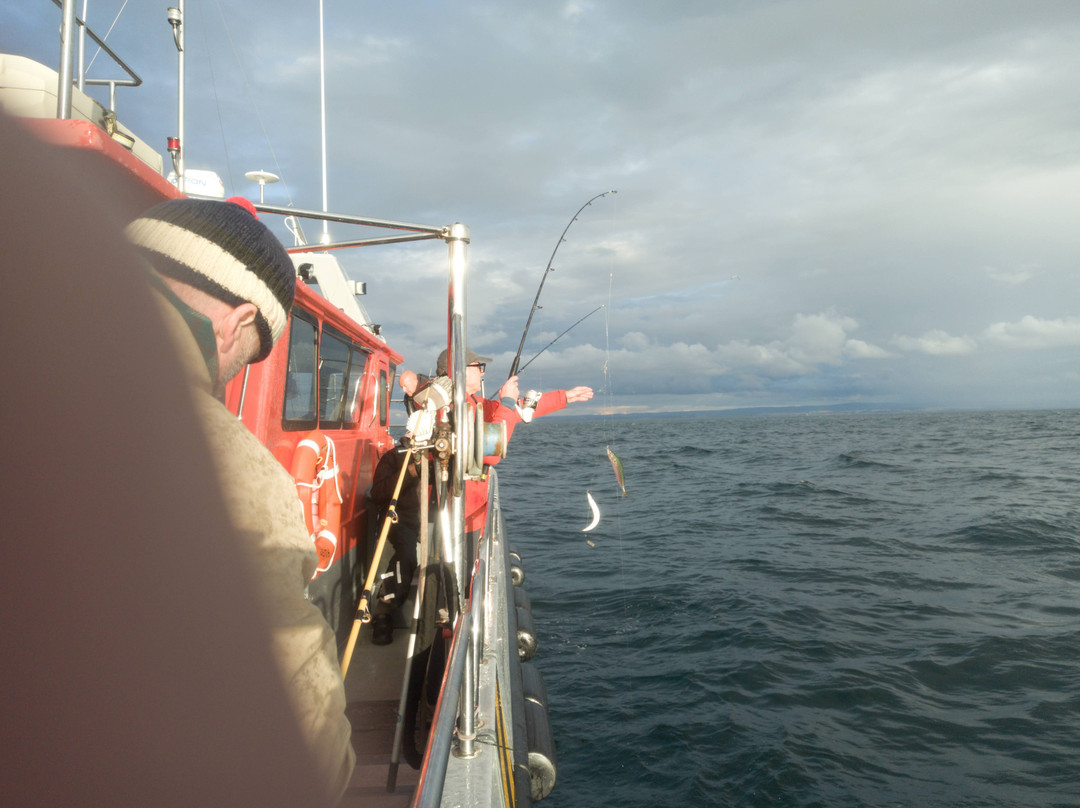 Forth Sea Safaris-Burntisland必去景点