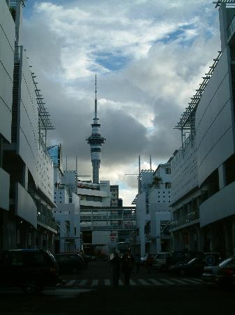 奥克兰希尔顿酒店主图