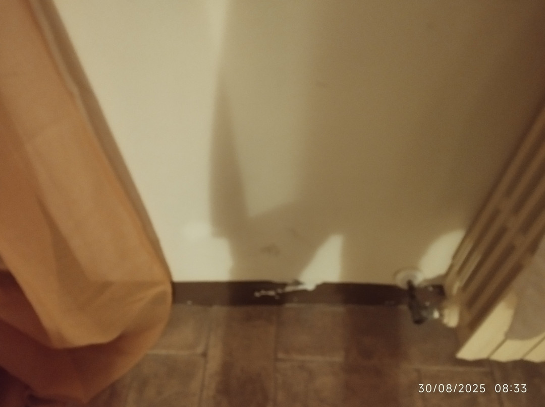 黎莱斯拉法托丽雅酒店主图