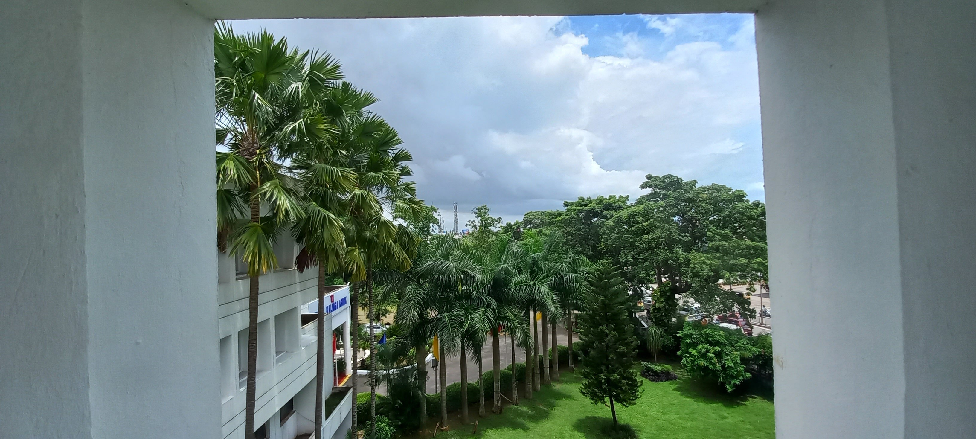 Kalinga Ashok-官方