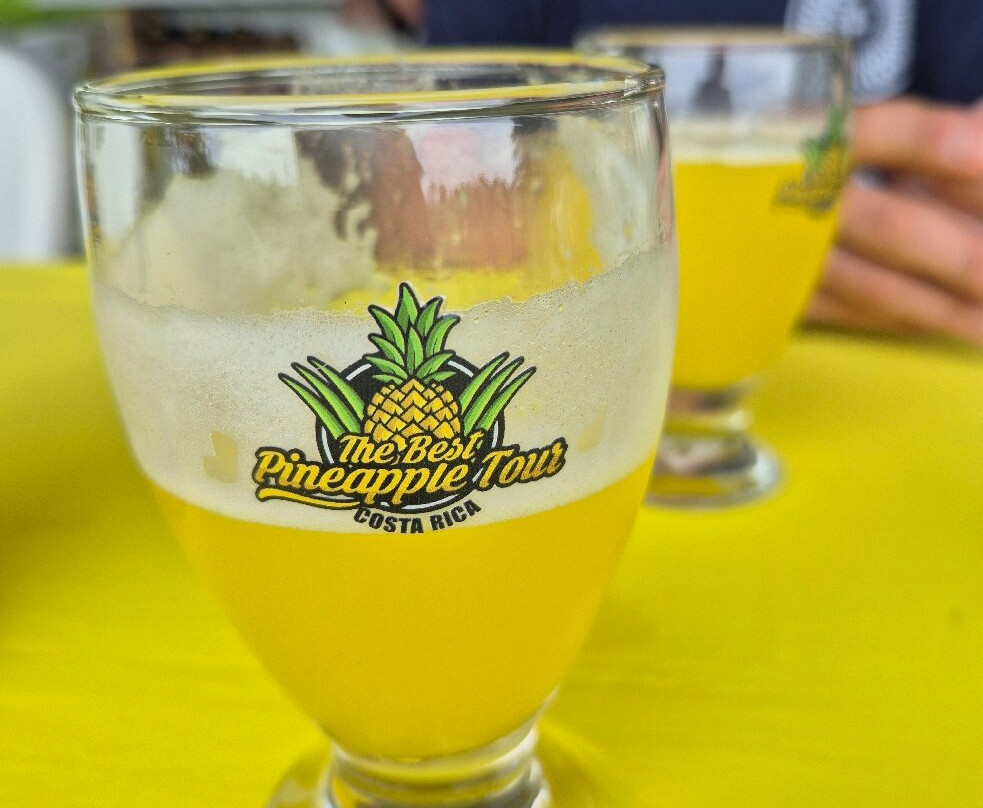 The Best Pineapple Tour Costa Rica-Rio Cuarto必去景点