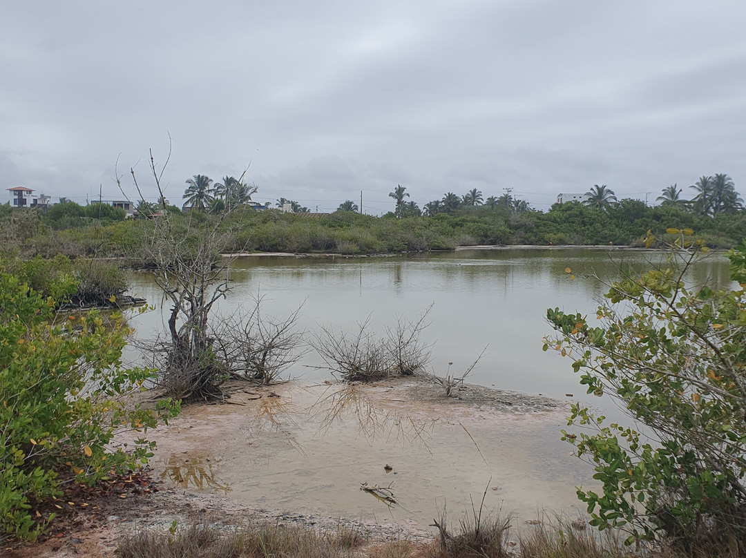 Laguna Salinas-维里亚米尔港必去景点