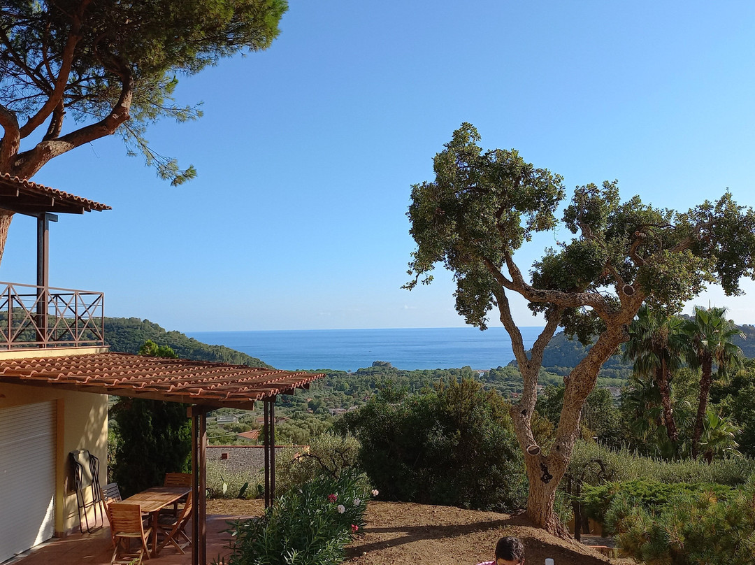 特利文托住宅酒店主图