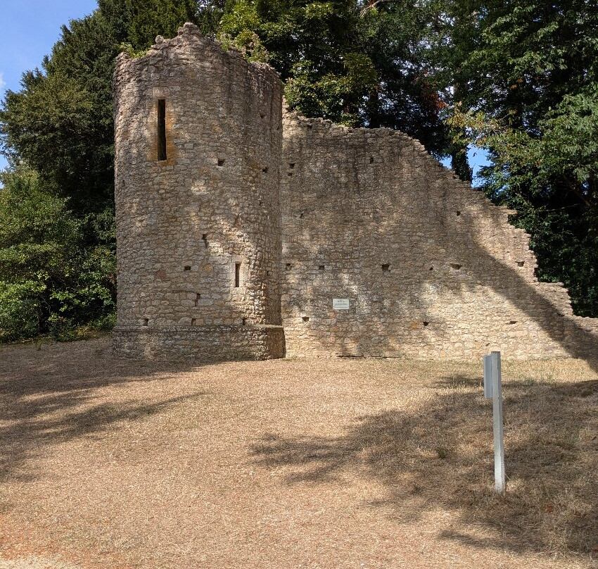 Sherborne Castle & Gardens-舍伯恩必去景点