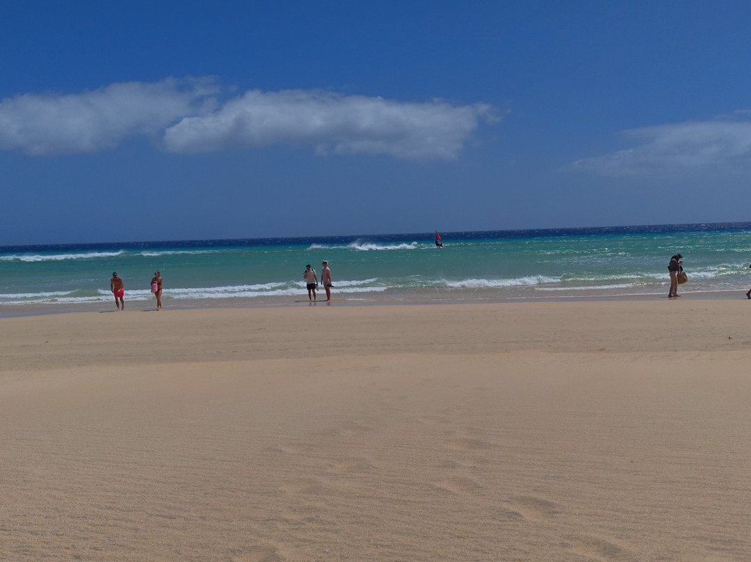 Playa de Sotavento de Jandía-Playa de Jandia必去景点