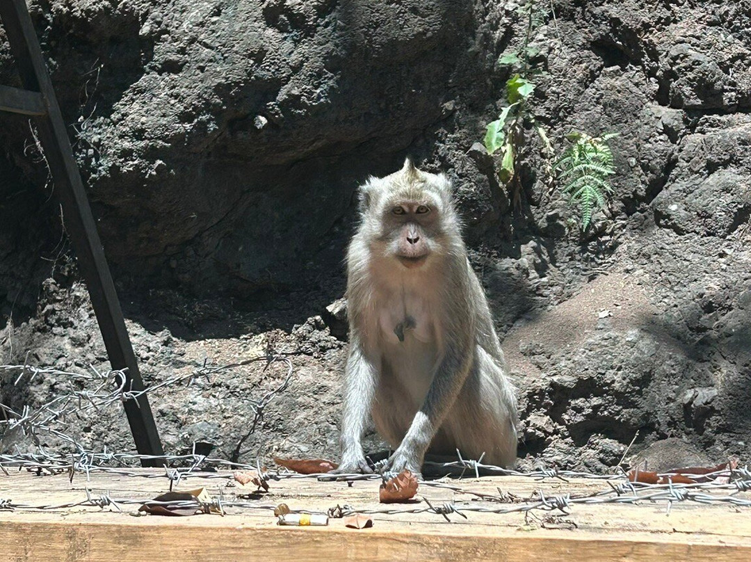 Java Tourism Yogyakarta-Yogyakarta必去景点