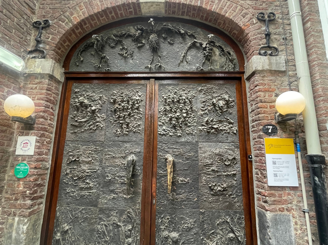 Natural History Museum of Maastricht-马斯特里赫特必去景点