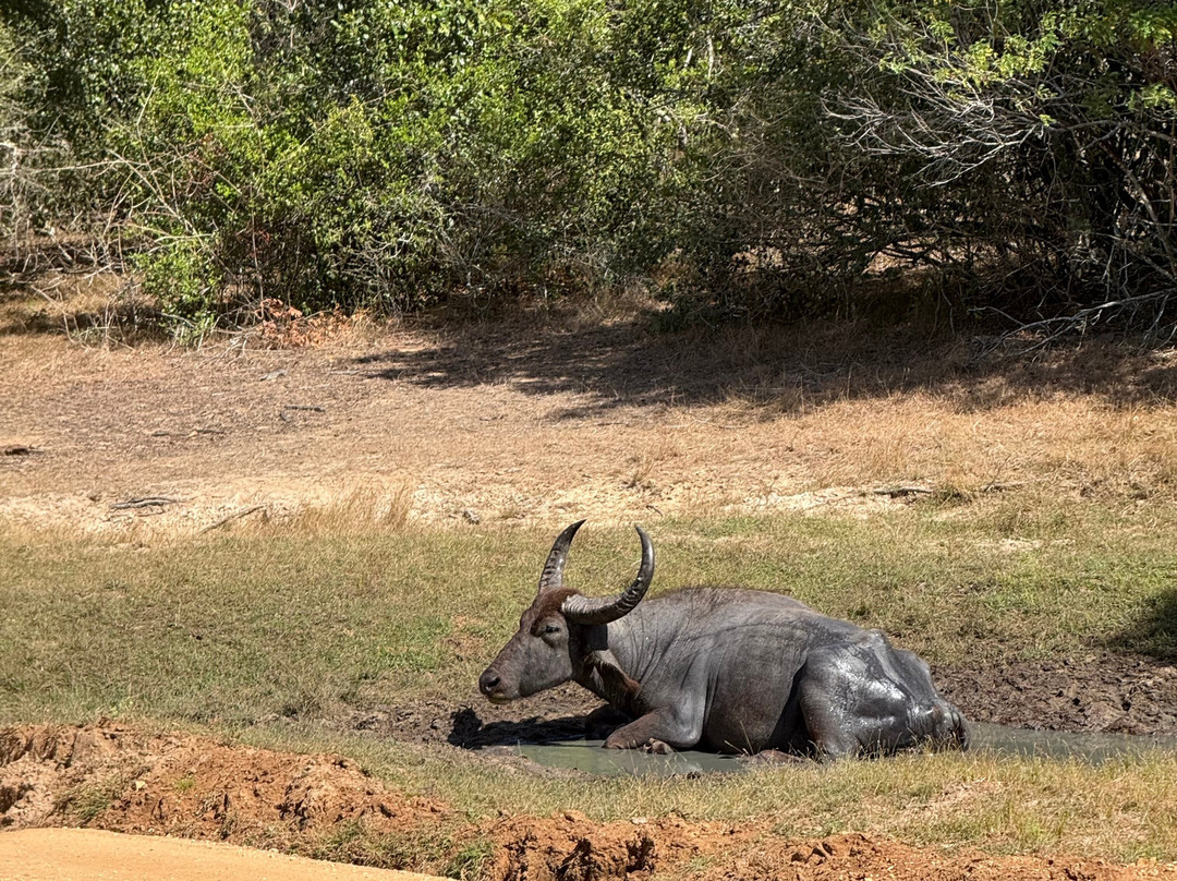 Nature Caves Sri Lanka-科伦坡必去景点