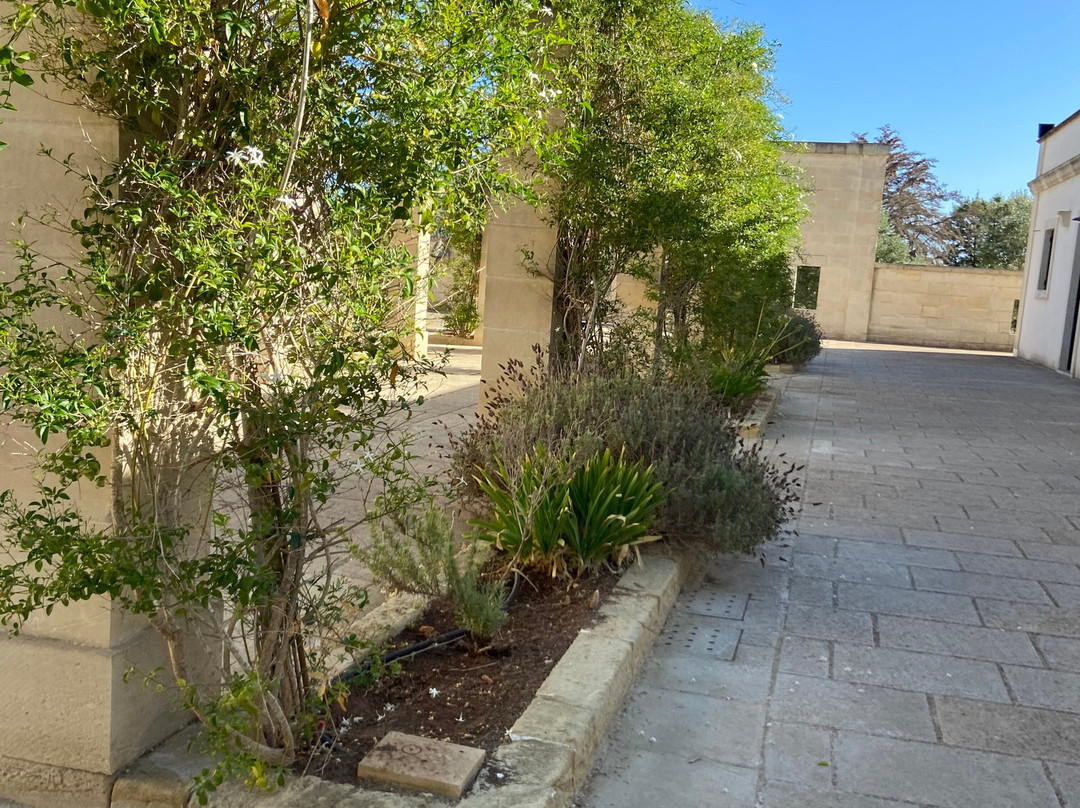 BioAgriturismo Messer Gesualdo主图