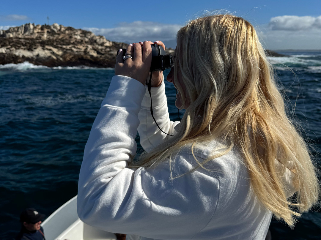 Big Blue Sky Tours-开普敦中心区必去景点
