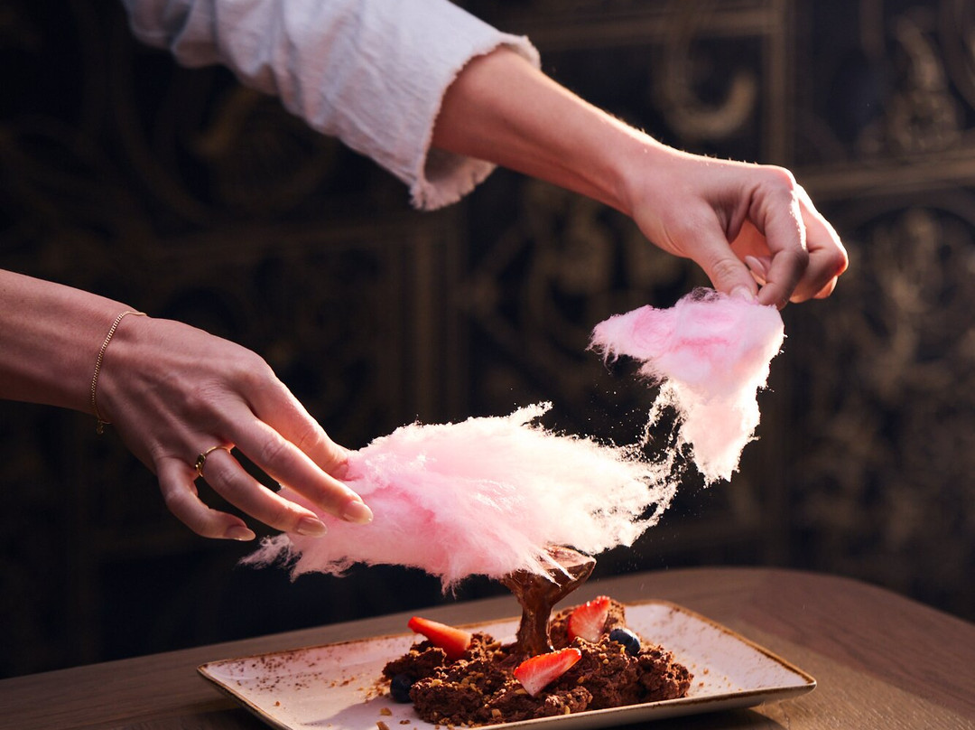 Sumo Torget Trondheim