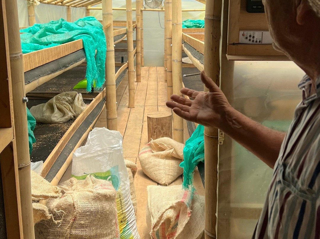 Hane Coffee-布埃纳维斯塔必去景点