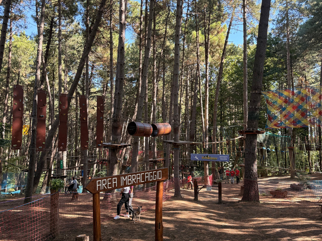 Parco Avventura Montevergine-Ospedaletto d'Alpinolo必去景点