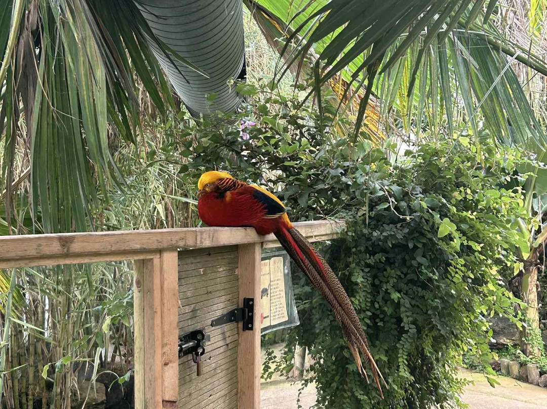 Bugtopia Hornsea Zoo-Hornsea必去景点