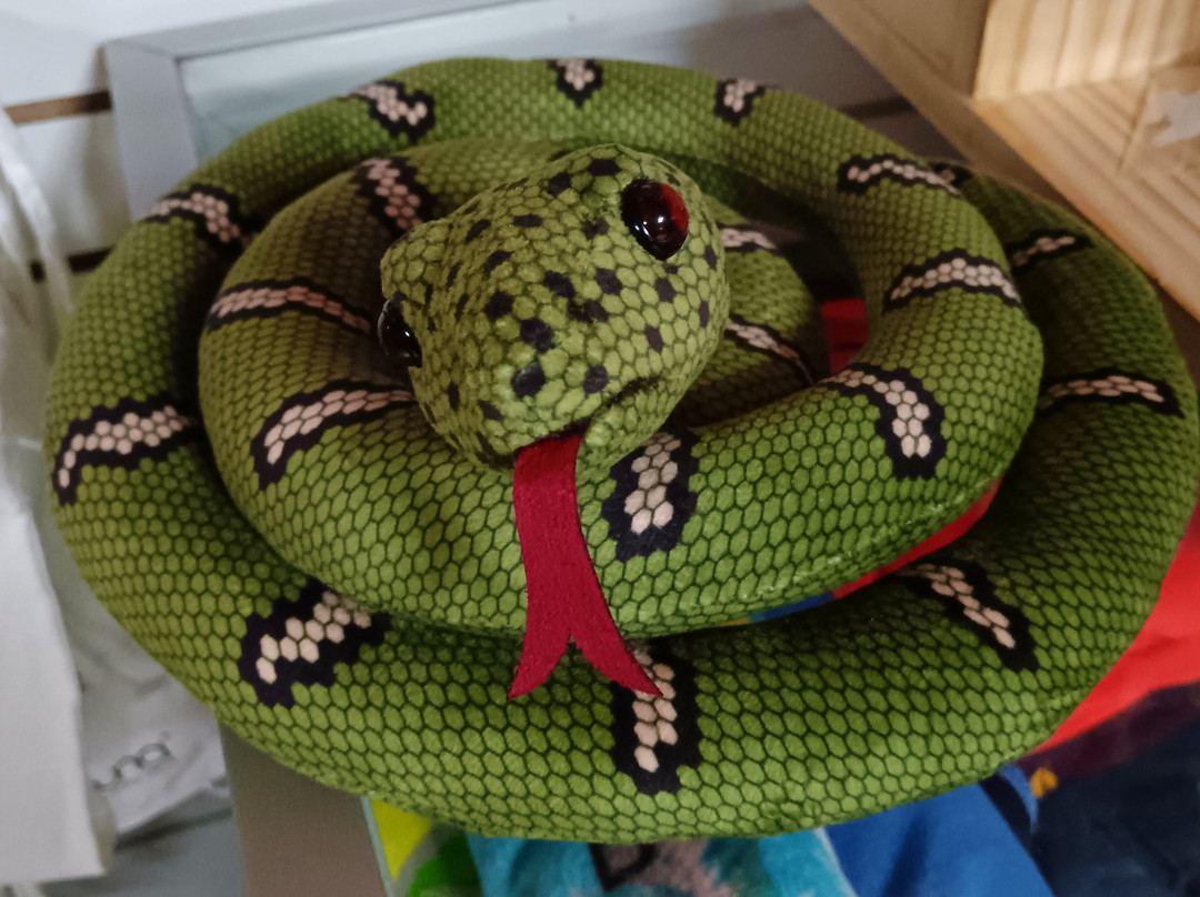 Volcán Barva-Barva必去景点