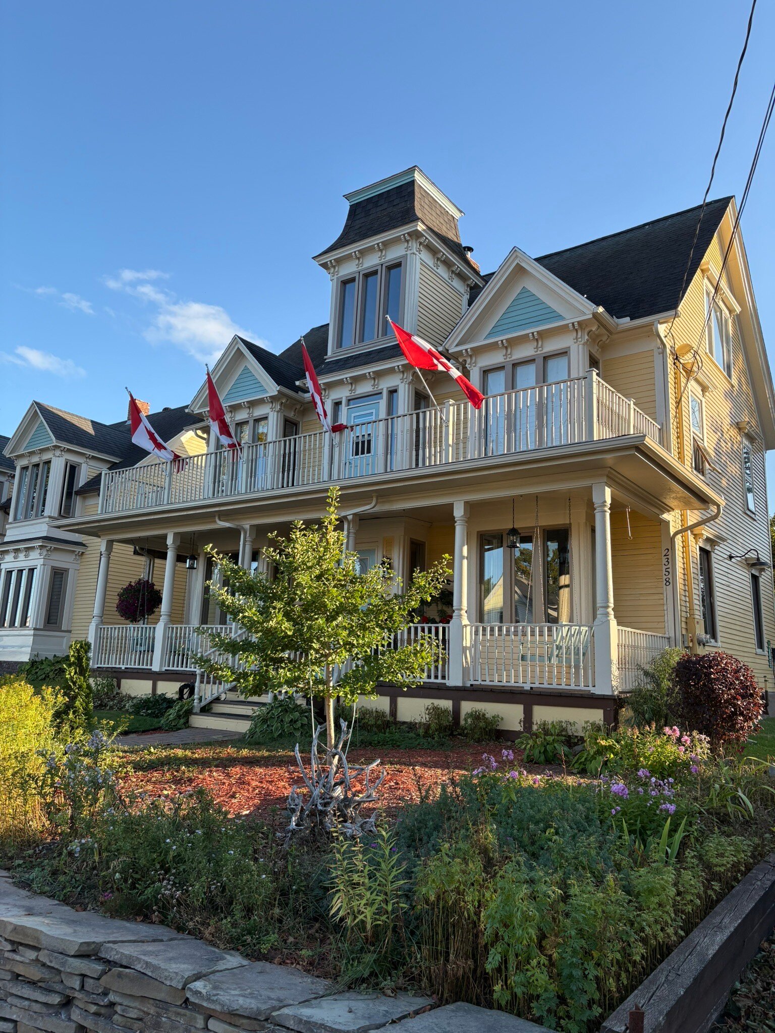 The Maple Inn-官方