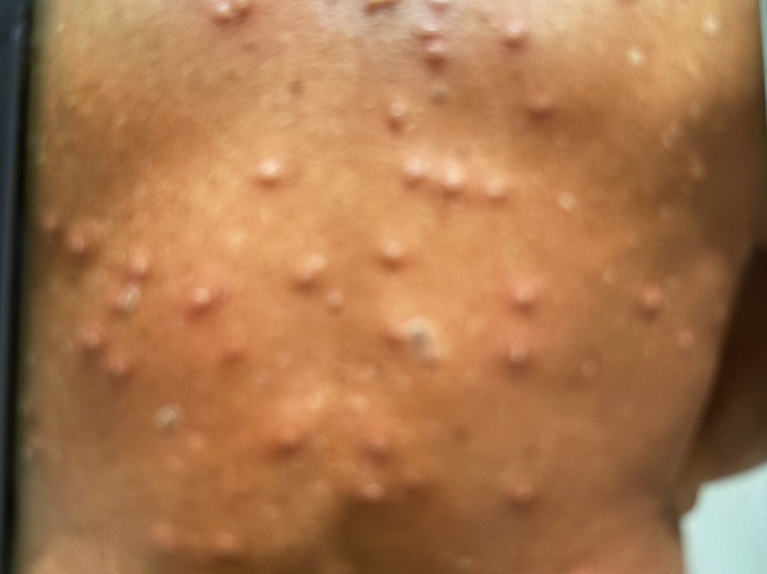 野生动物园岛度假村主图