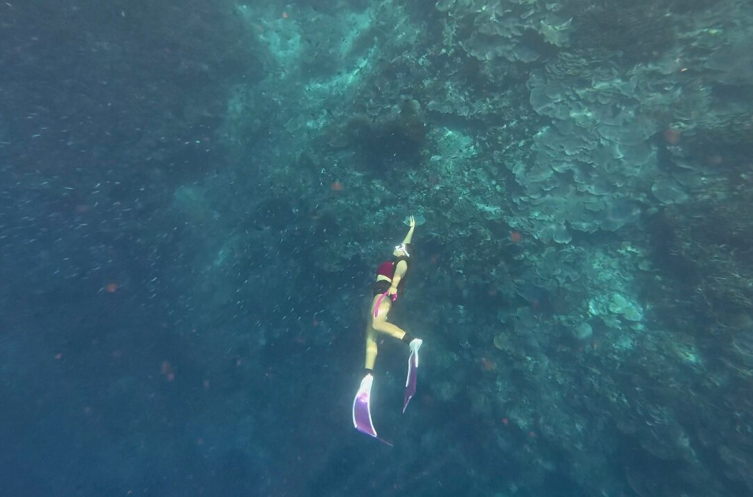 美娜多探潛者 PT.Mamado Adventure Diving Center-布纳肯岛必去景点