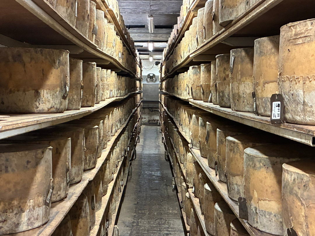 Isle of Mull Cheese-Tobermory必去景点