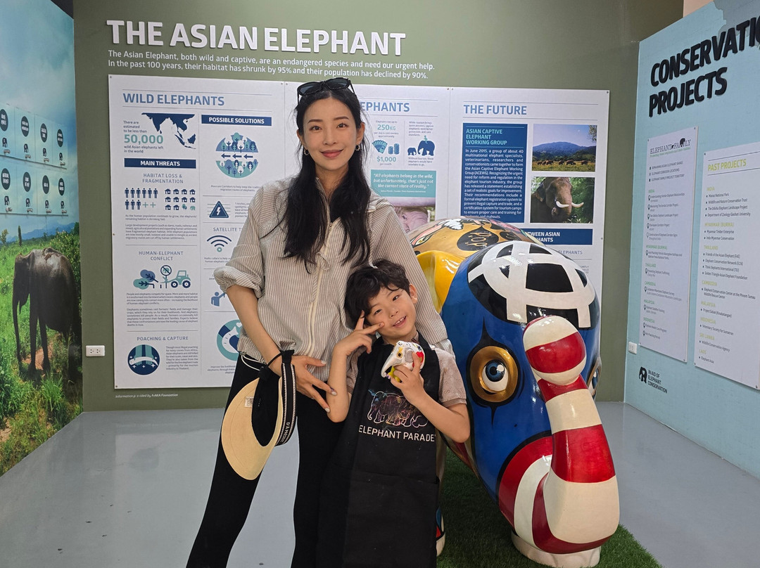 Elephant Parade Land-清迈必去景点