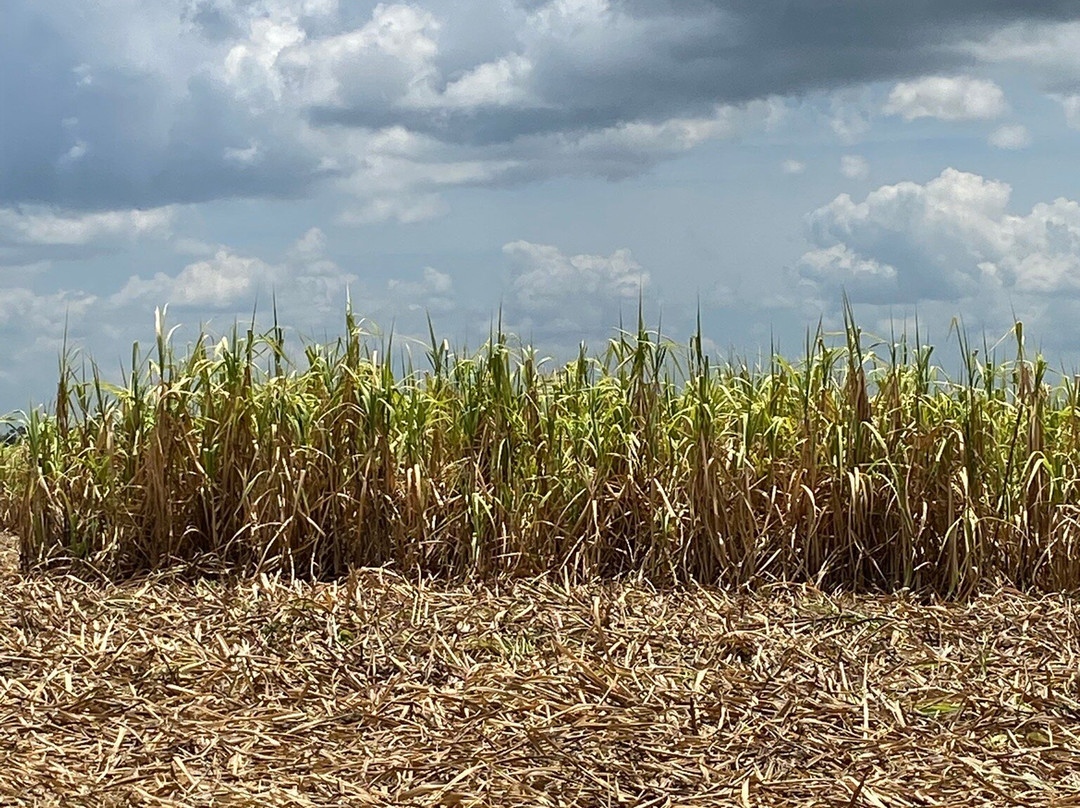 Udawalawe New Cab Service-Habaraluwewa必去景点