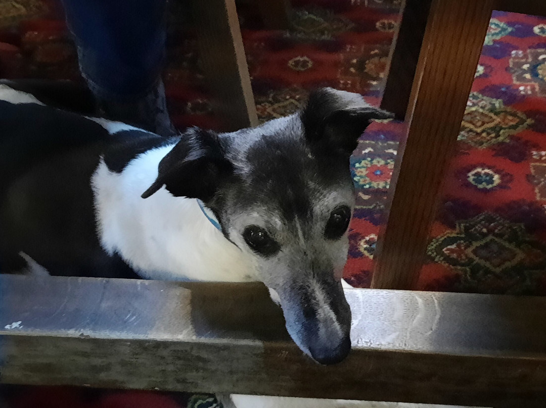 The Breeze Hill主图