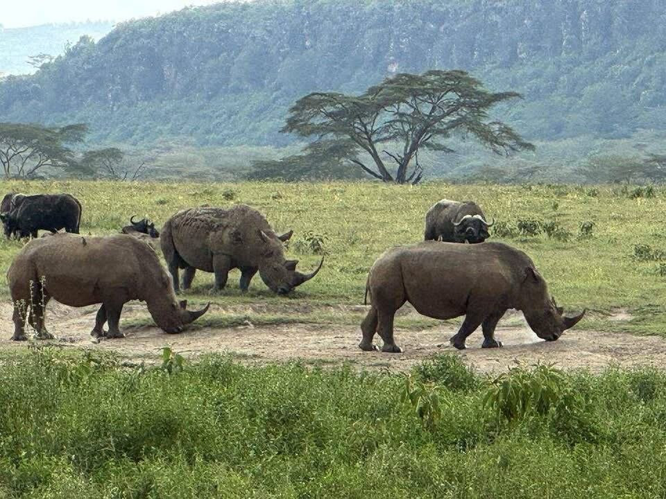 Alligator Adventures Tours & Safaris-纳罗克必去景点