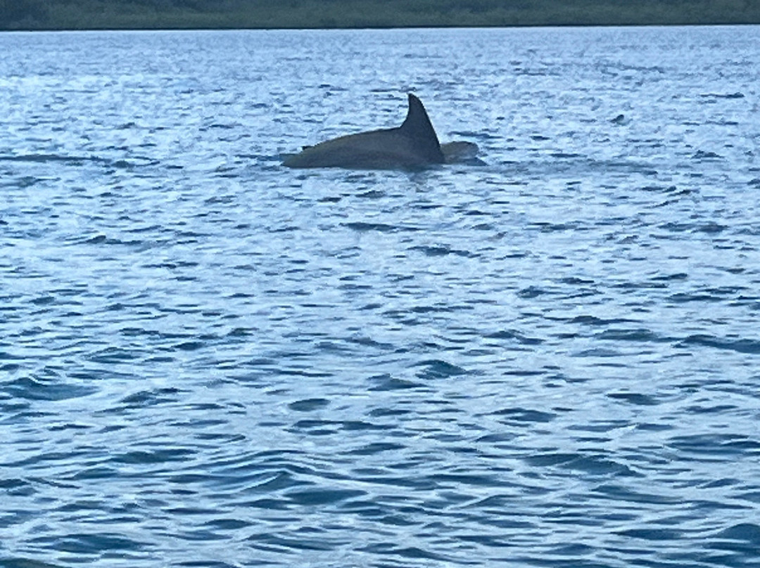 Bocas Water Excursions-Bocas del Toro必去景点