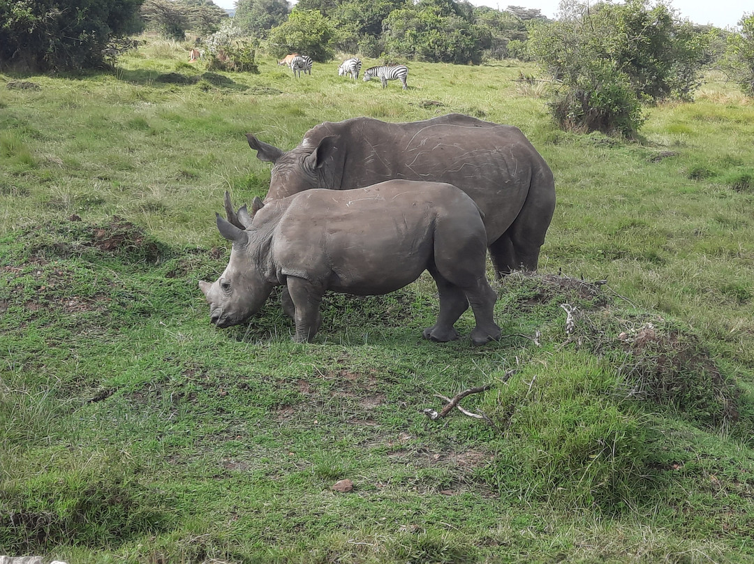 Big 5 Africa Tours-Bobingen必去景点