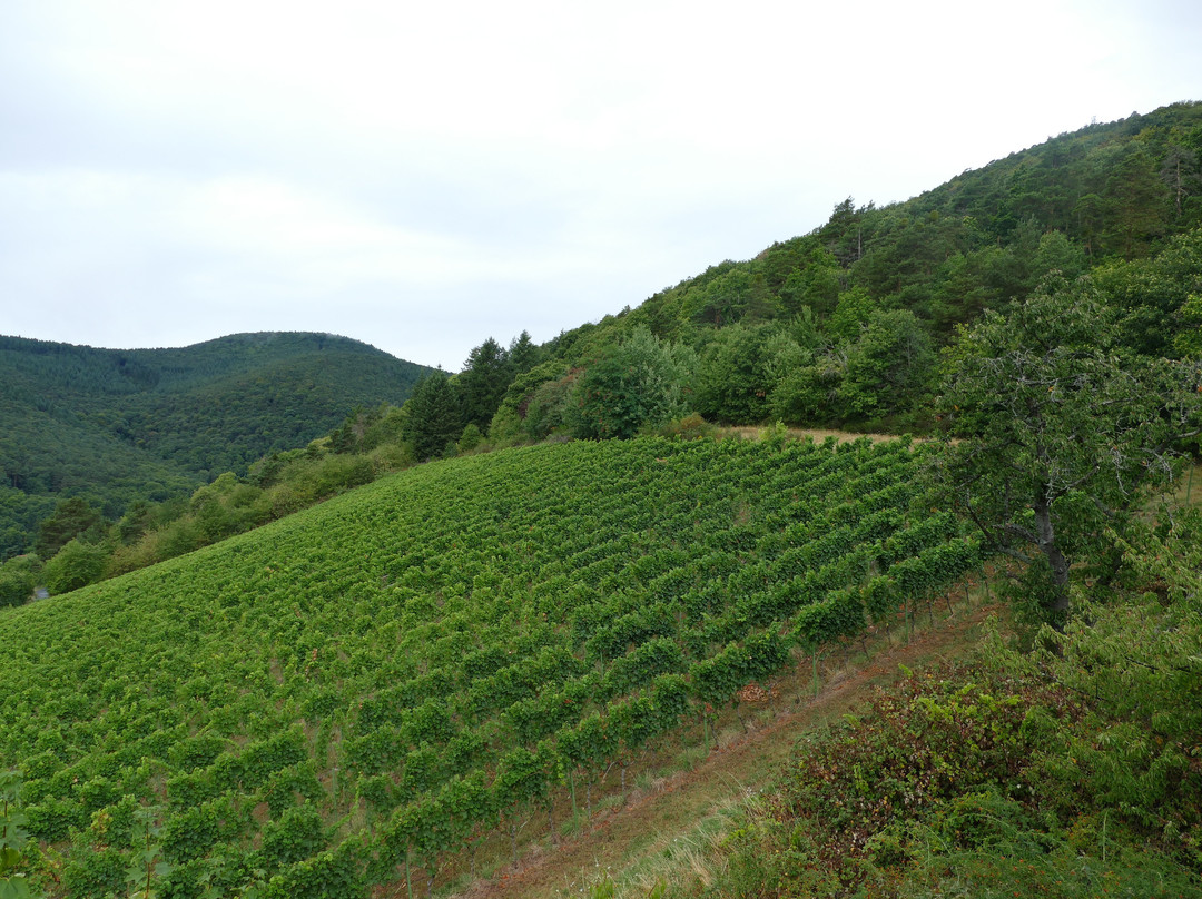 维恩贝格豪斯酒店主图