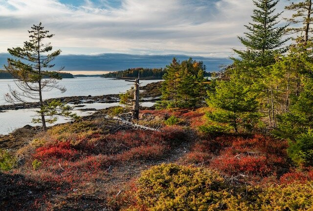 Cobscook Shores-Lubec必去景点