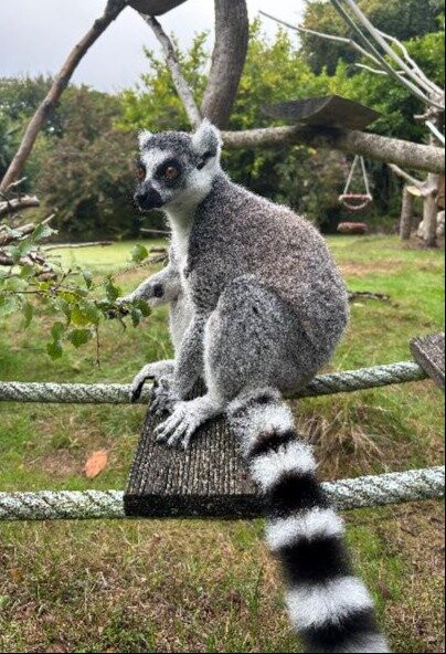 Les Terres De Nataé-Pont-Scorff必去景点