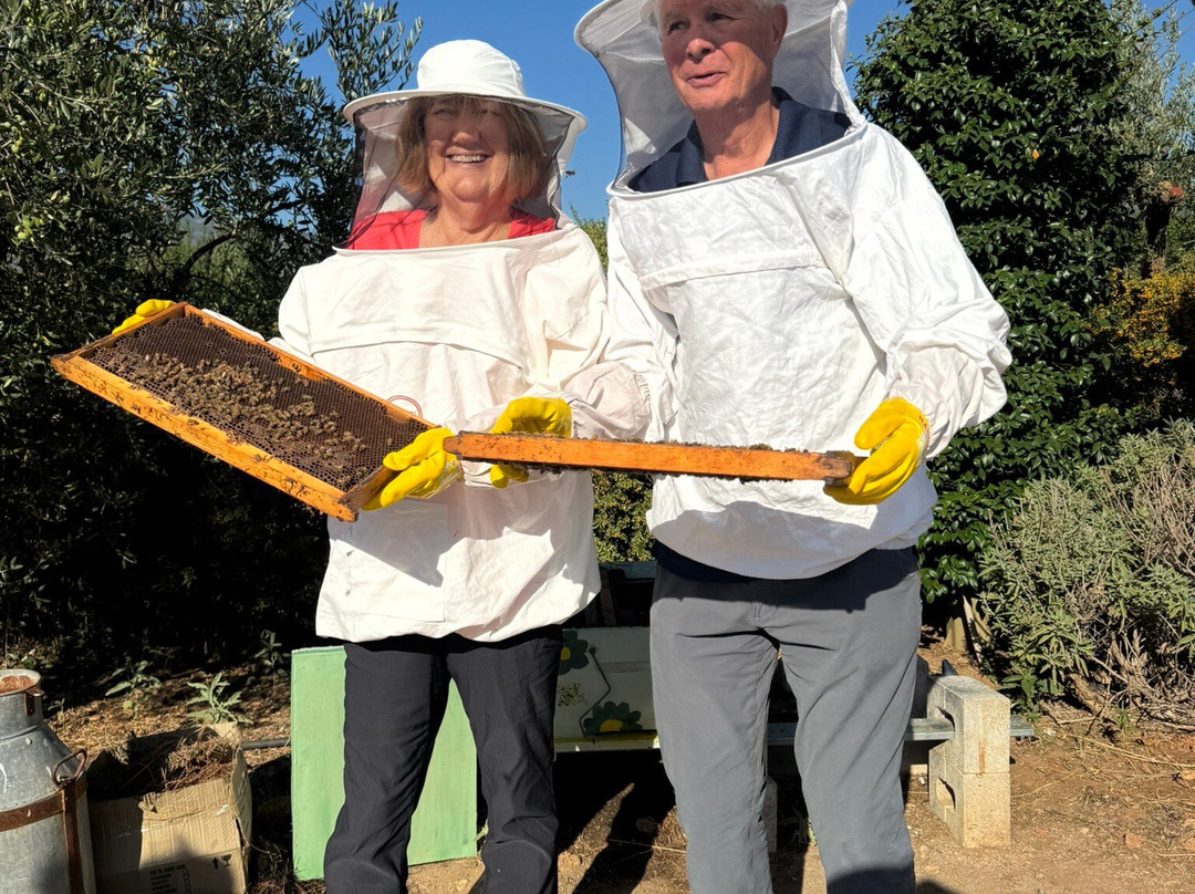 LandLife Travel-纳夫普利翁必去景点