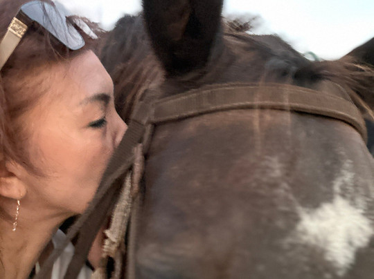 Horses On The Beach: Corpus Christi-科珀斯克里斯蒂市必去景点