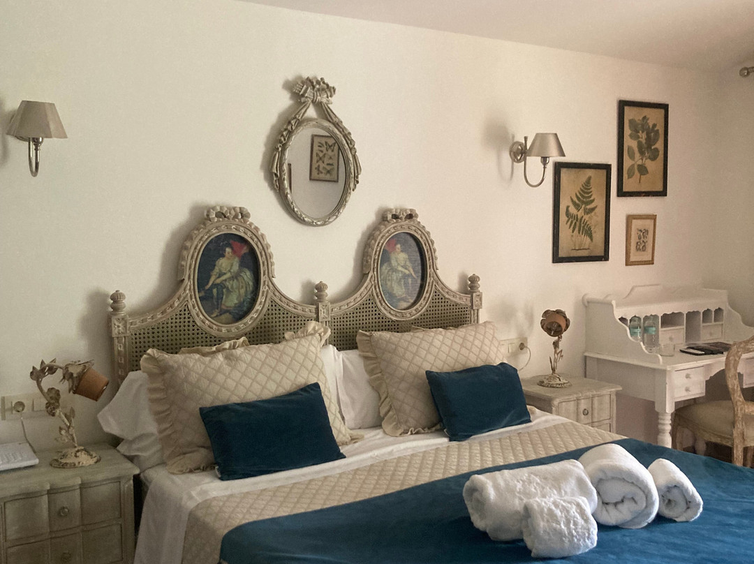 Sa Vinya des Convent Agroturismo主图