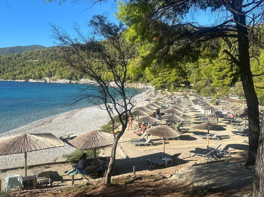 Milia Beach-斯科派洛斯必去景点