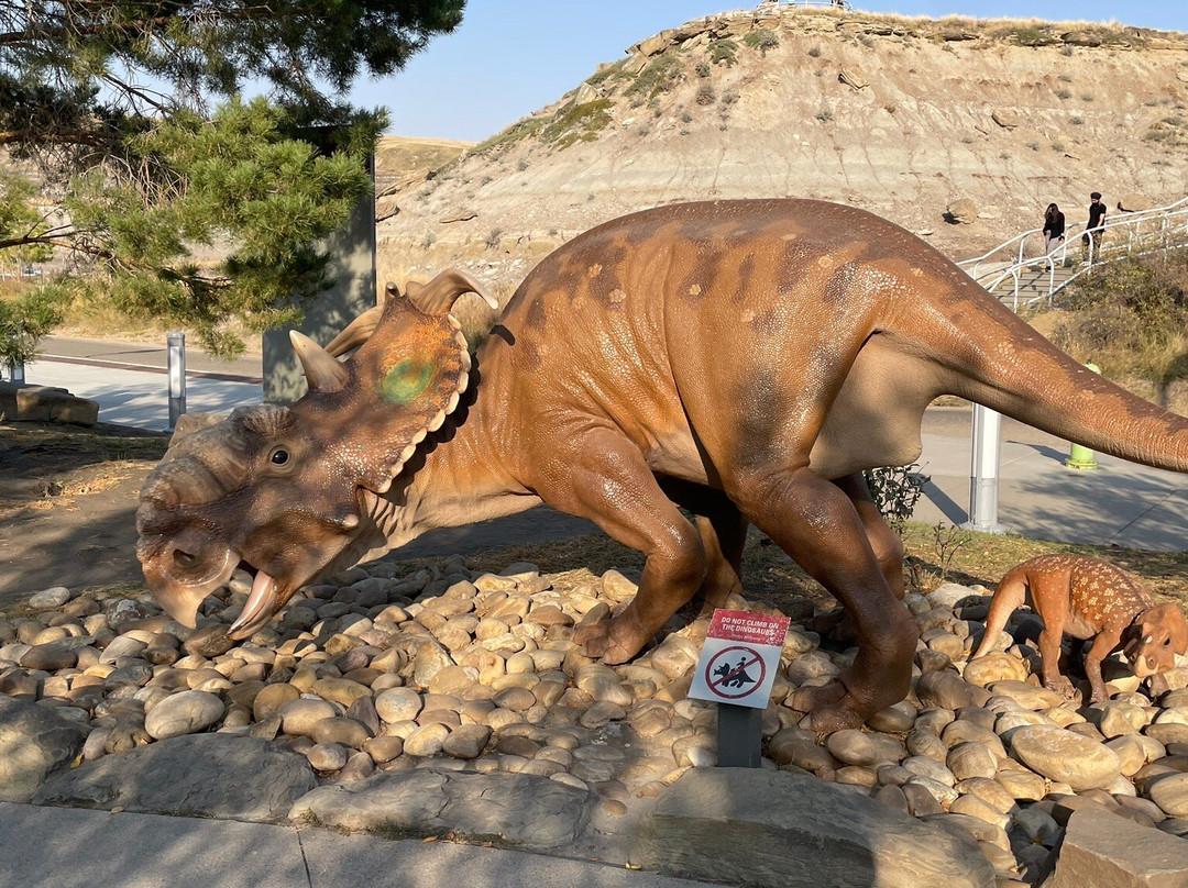 皇家泰瑞尔古生物博物馆-德兰赫勒必去景点