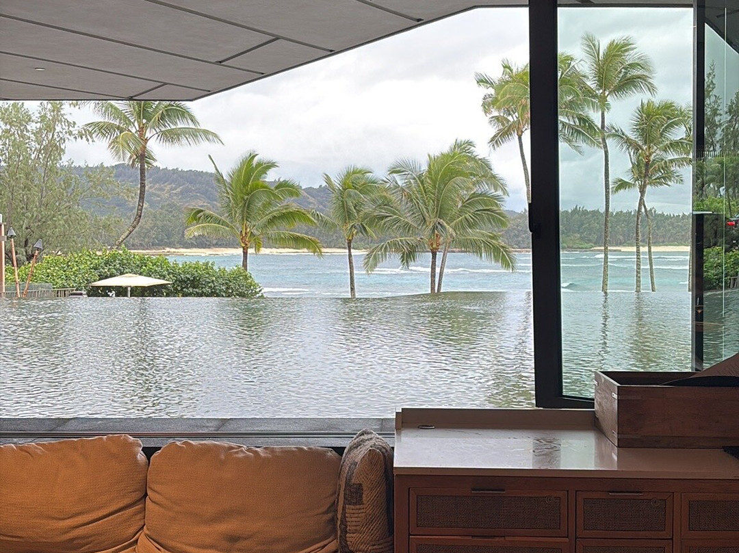 Turtle Bay Beach-卡胡库必去景点