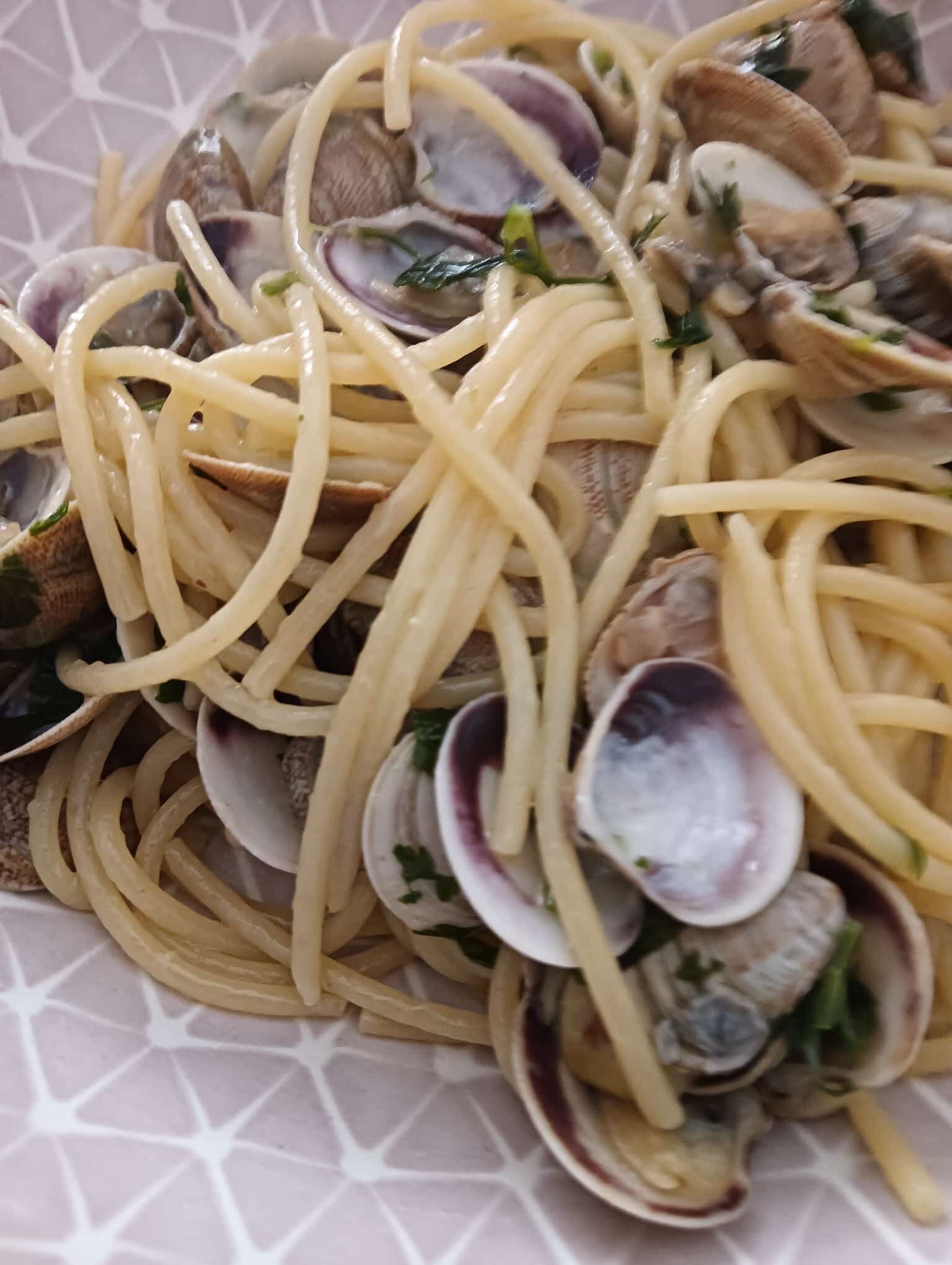 Hotel Ariston-官方