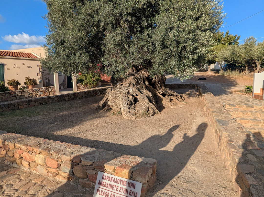 The Little Fun Train-阿吉亚玛丽娜必去景点