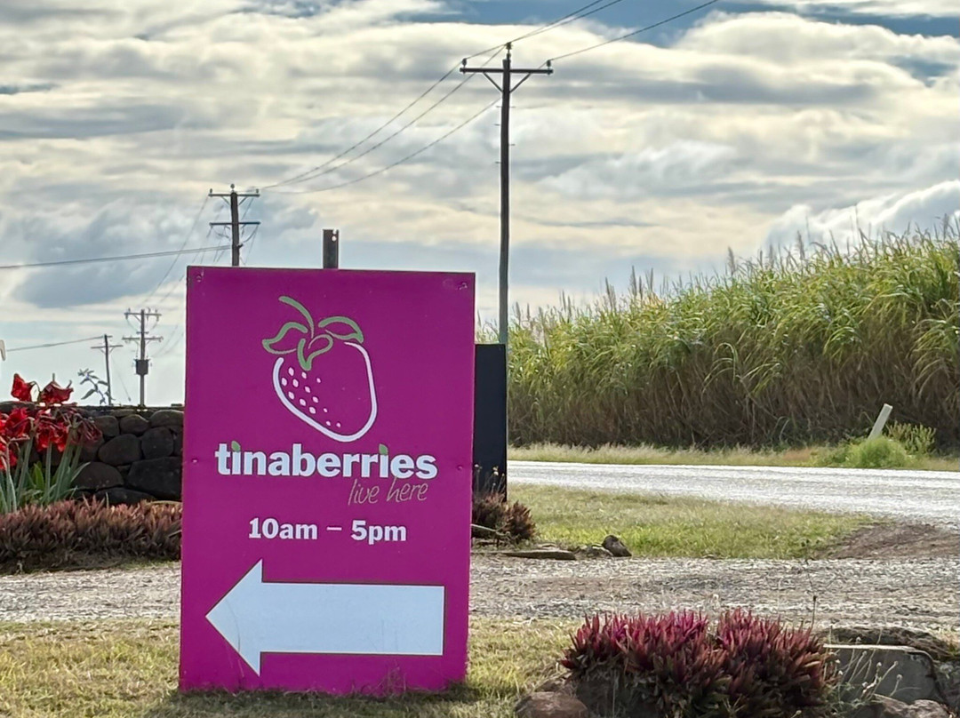 Tinaberries-邦德堡必去景点