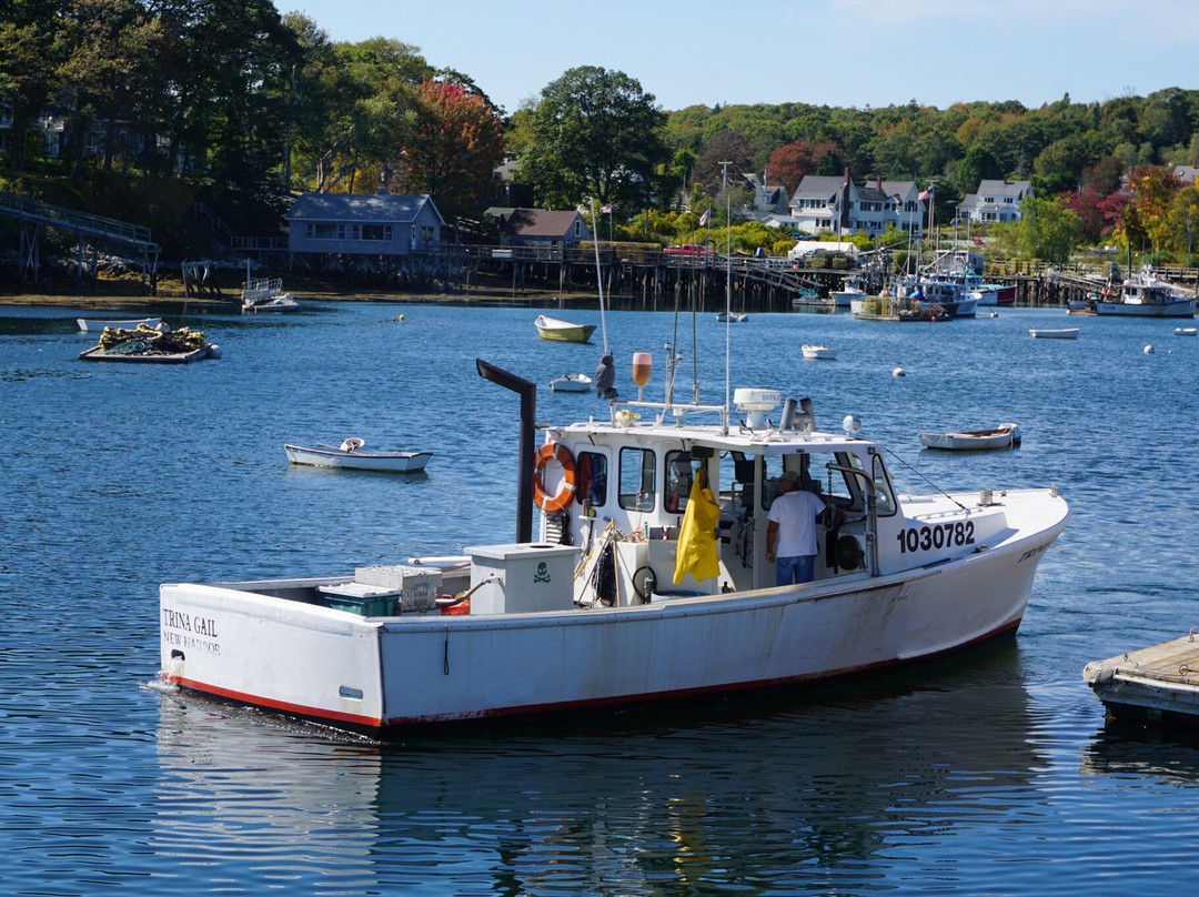 Hardy Boat Cruises-New Harbor必去景点