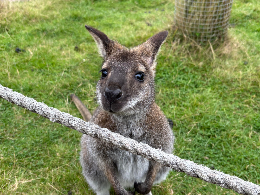 Millets Farm Centre-弗里福德希斯必去景点