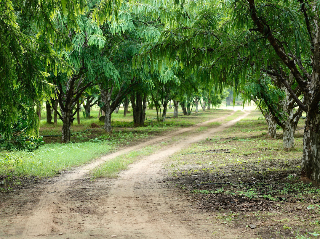 Amrai By Kivaara-Kishangarh必去景点